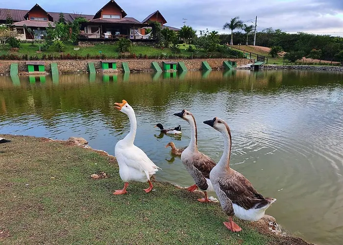 Apartamento Winterville Residence Em Gravata 2 Qtos